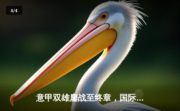 意甲双雄鏖战至终章，国际米兰主场3-2险胜AC米兰登顶积分榜 - 4